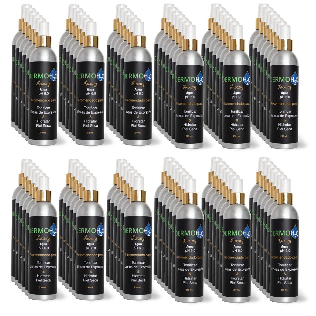 72 Botellas (Ahorra 30%) - Dermo H2O Luxury pH 6.0 - Spray Revitalizante (250 mL) para Hidratar Piel Seca y Suavizar Líneas de Expresión